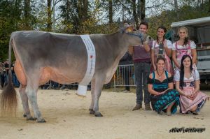 001k-Champion BV Jongleur Silvana GoldHill Genetics AR8I8072